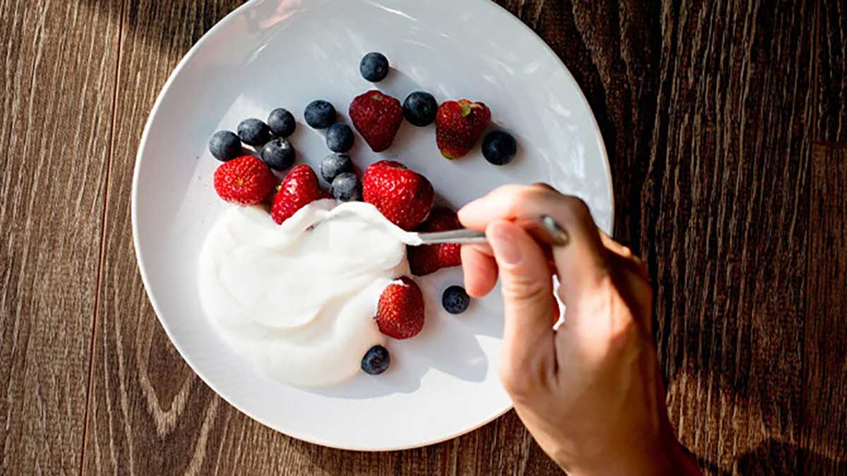 Which-Greek-Yogurt-is-best-for-Diabetics